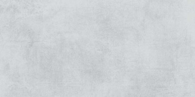 Polaris глаз. керамогранит светло-серый (16328)  29,7x59,8